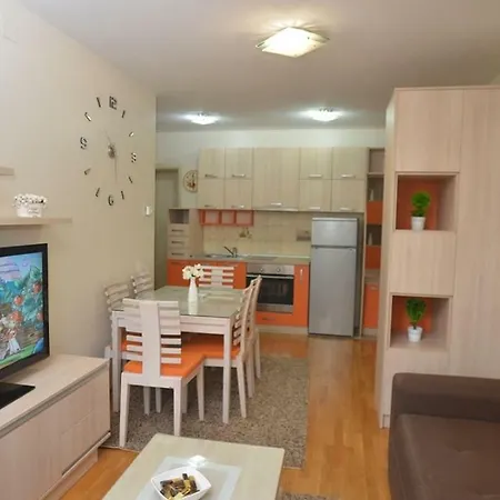 Apartment Happy N&t Zlatibor